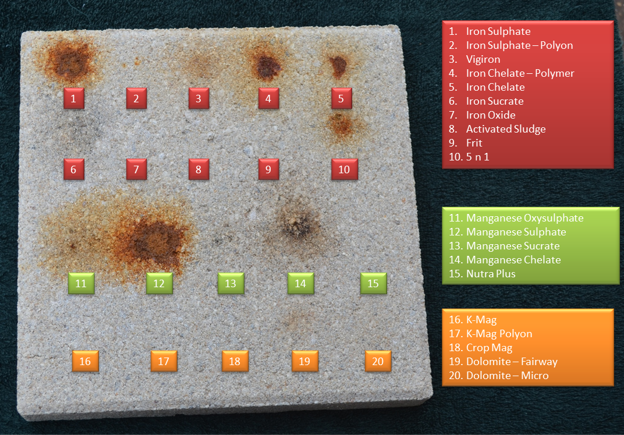 Cement pavers showing stains from 16 liquid fertilizers.