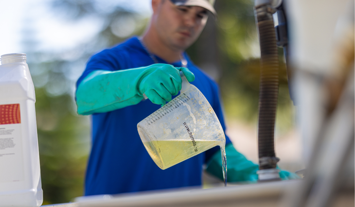 Late Summer Weed Control Products