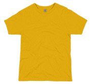 Next Level Youth Premium Tee