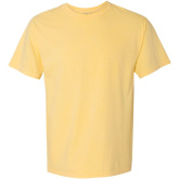 Comfort Colors Adult Heavyweight T-Shirt