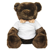 Printed by eRetailing 12 Inch Teddy Bear Stuffed Animal