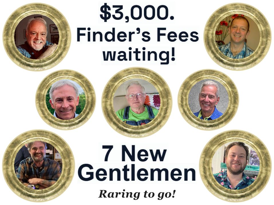 A screenshot showing a collage of 7 new matchmakerpay gentlemen members photo image pictures