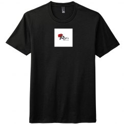 The perfect Triblend Tee