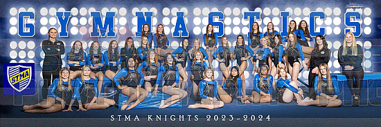 2023 St Michael Albertville High School Gymnastics Photo Day
