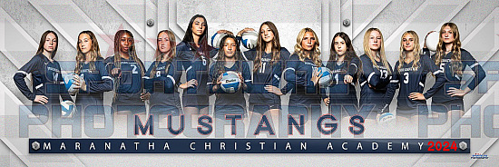 2024 MCA HS Fall Volleyball Photo Day