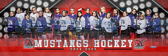 2024-25 Rochester Youth Hockey Photo Day