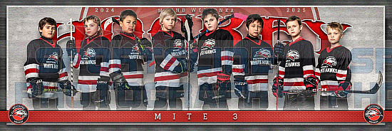 2024-25 Mound Westonka Hockey Photo Day-Mites - Jan. 13th