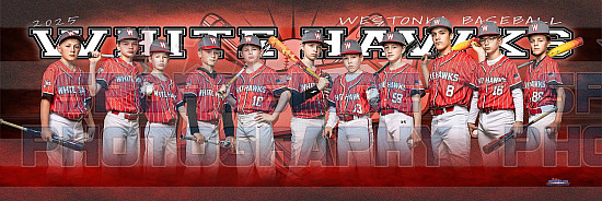 2025 Mound Westonka Baseball Travel Photo Day