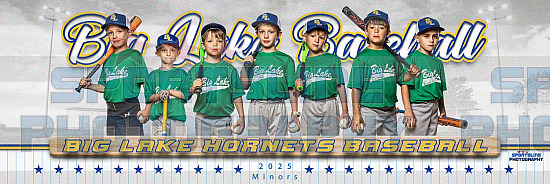 2025 Big Lake Youth Baseball Photo Day-Majors-Minors June 12th