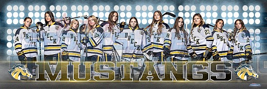 2025 Breck Girls Hockey Photo Day