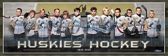 2025-26 Andover Youth Hockey Mites Photo Day 