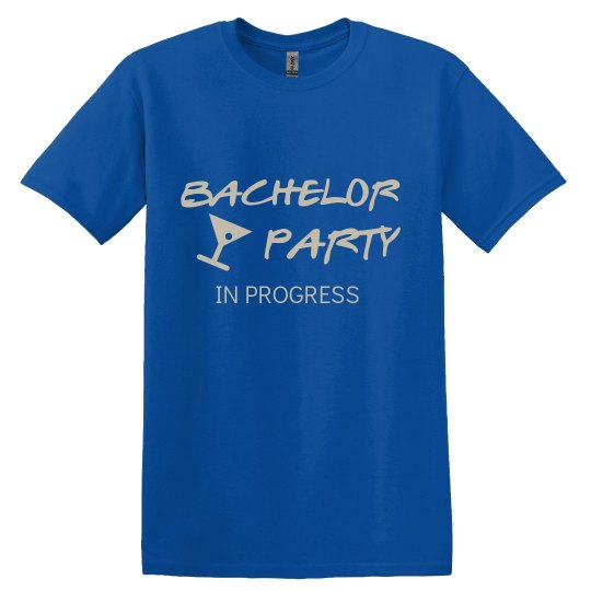 Bachelor Party in Progress