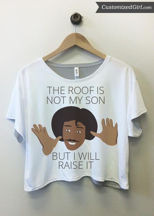 The Roof is Not My Son
