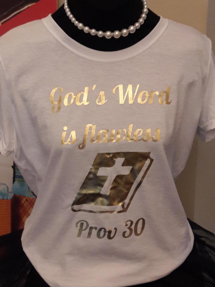 Gods word is flawless