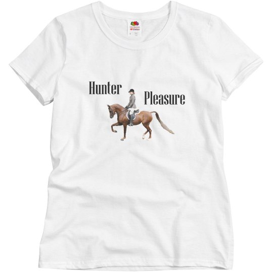 Arabian: Hunter Pleasure Arabian: Hunter Pleasure