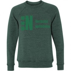 Unisex Triblend Crewneck Sweatshirt