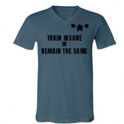 Unisex V-Neck Jersey Tee