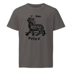 Unisex Organic Mid-Light T-Shirt