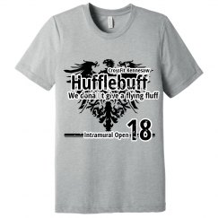 Hufflebuff T - grey
