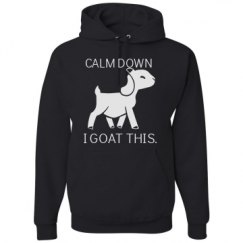 Unisex Basic Promo Hoodie