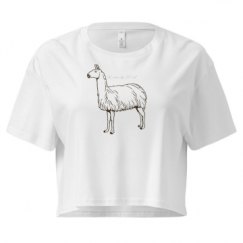 Ladies Festival Cali Crop Top Tee