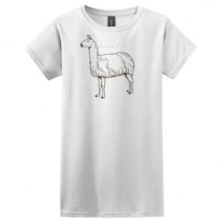 Ladies Basic Softstyle Tee