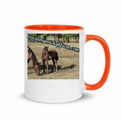 11oz Ceramic Mug with Color Inside