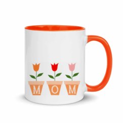 11oz Ceramic Mug with Color Inside