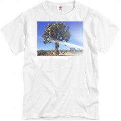 Joshua tree
