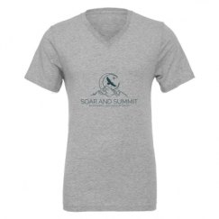 Unisex CVC Jersey V-Neck T-Shirt