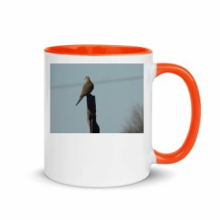 11oz Ceramic Mug with Color Inside