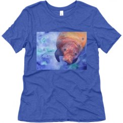 Ladies Relaxed Fit Super Soft Triblend Tee