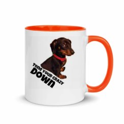 11oz Ceramic Mug with Color Inside