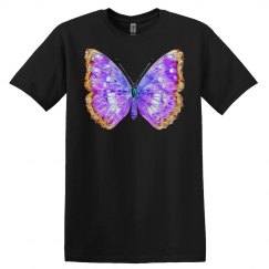 Butterfly Lover Butterfly