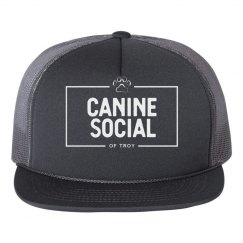 Canine social