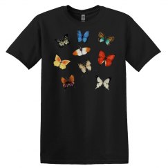 Butterfly Butterflies Pattern Butterflies of the world