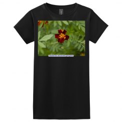 Marigold Photo Lucy LaRue Fitted Tee Shirt