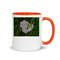 11oz Ceramic Mug with Color Inside