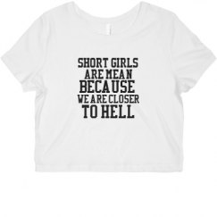 Ladies Slim Fit Crop Top Tee