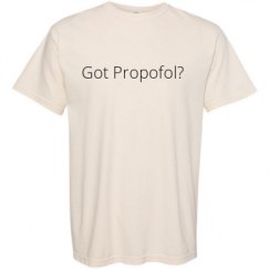 Adult Heavyweight T-Shirt