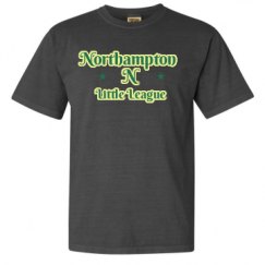 Adult Heavyweight T-Shirt