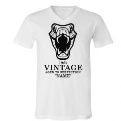 Unisex V-Neck Jersey Tee