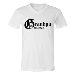 Unisex V-Neck Jersey Tee