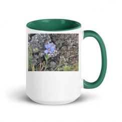 15oz Ceramic Mug with Color Inside