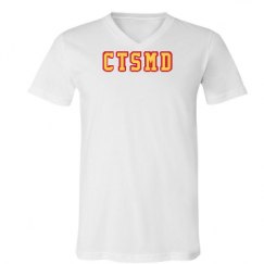 Unisex V-Neck Jersey Tee