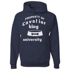 Unisex Basic Promo Hoodie