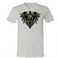 Unisex V-Neck Jersey Tee