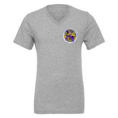Unisex CVC Jersey V-Neck T-Shirt