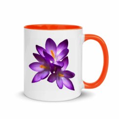 11oz Ceramic Mug with Color Inside