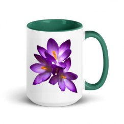15oz Ceramic Mug with Color Inside
